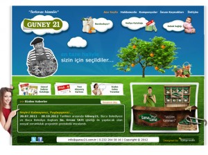 www.guney21.com.tr